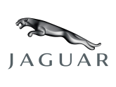jaguar-165x124